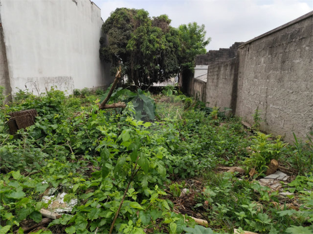 Terreno à venda com 1 suíte em Vila Constança, São Paulo, SP