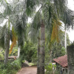 Casa Térrea à venda ou para alugar com 2 quartos em Colinas do Mosteiro de Itaici, Indaiatuba, SP