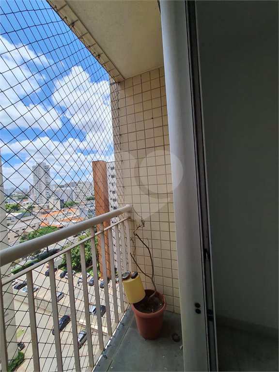 Apartamento à venda com 3 quartos, sendo 1 suíte, em Cambuci, São Paulo, SP
