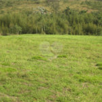 Área de Terra à venda em Porteira Preta, Mogi das Cruzes, SP