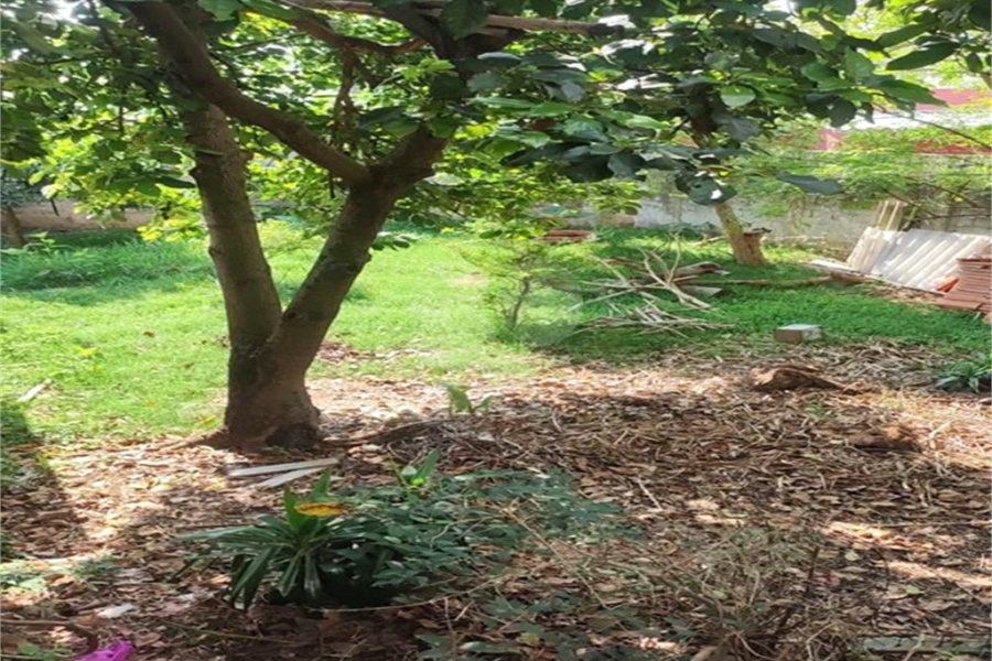Terreno à venda em Vila Nova Mazzei, São Paulo, SP