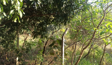 Terreno à venda em Bosque dos Eucalíptos, Atibaia, SP