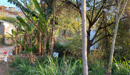 Terreno à venda em Albatroz, Armação dos Búzios, RJ