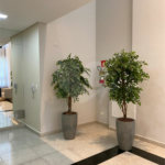 Apartamento à venda com 3 quartos, sendo 1 suíte, em Vila Regente Feijó, São Paulo, SP