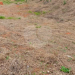 Terreno à venda em Jardim América, Bragança Paulista, SP
