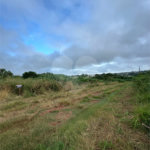 Terreno à venda em Bosque de Ponta Porã, Ponta Porã, MS