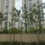 Apartamento à venda com 2 quartos, sendo 1 suíte, em Jardim Flor da Montanha, Guarulhos, SP