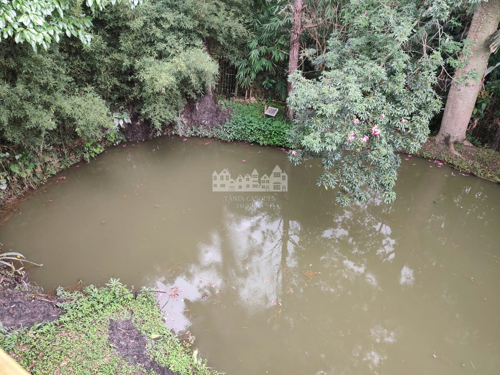 Sítio, 3 quartos, 1440 m² - Foto 9