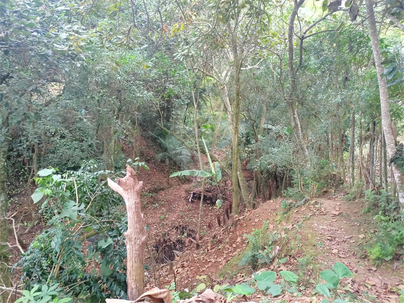 Terreno à venda em Vila Sol Nascente, Suzano, SP
