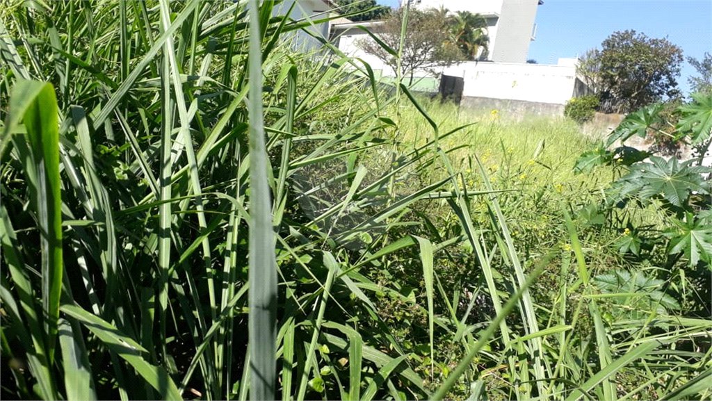 Terreno à venda em Jardim São Bento, São Paulo, SP