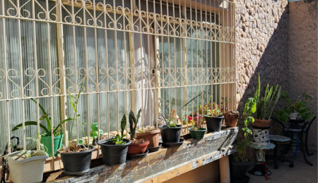 Casa à venda com 4 quartos, sendo 1 suíte,  em Parque Boa Esperança, Indaiatuba, SP