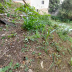 Terreno à venda em Tucuruvi, São Paulo, SP