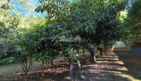 Casa Pé na Água em Atibaia com Acesso à Represa e Mais de 3.000 m² de Natureza