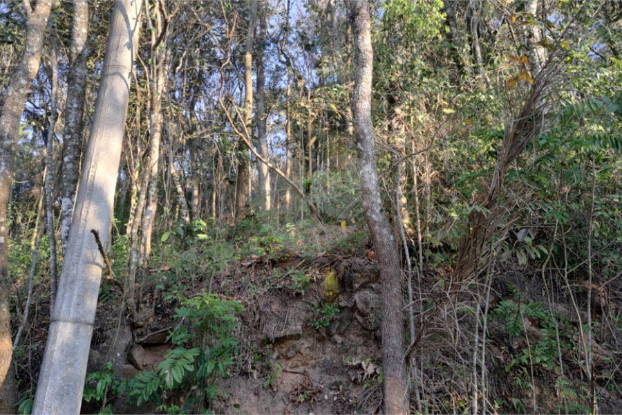Terreno à venda em Serra da Cantareira, Mairiporã, SP