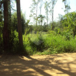 Chácara à venda com 1 quarto em Cruz das Almas, Biritiba-mirim, SP