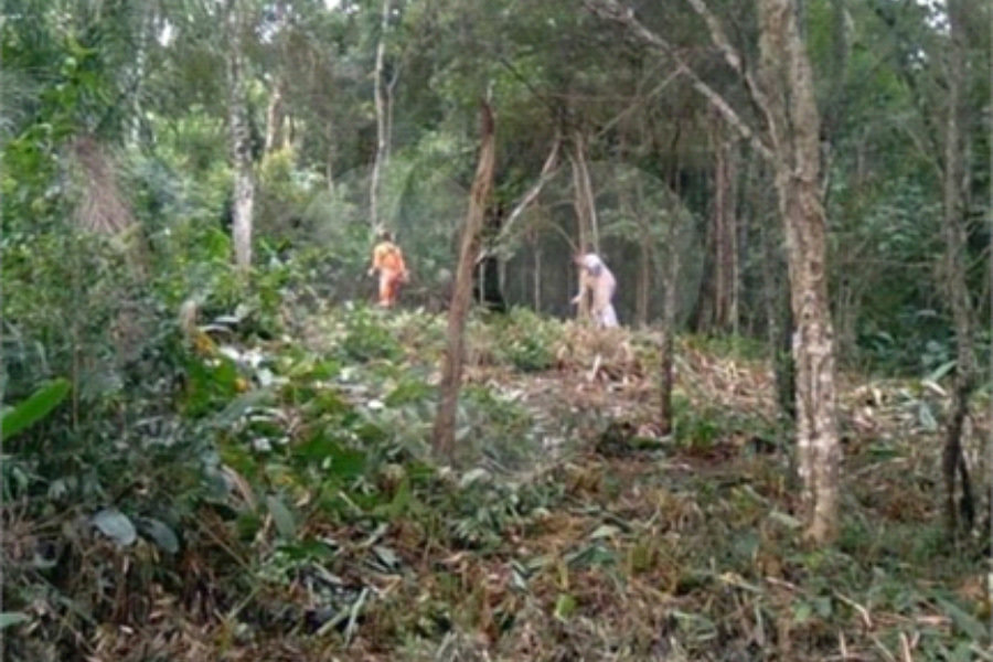 Terreno à venda em Serra da Cantareira, Mairiporã, SP