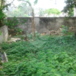Terreno à venda em Tremembé, São Paulo, SP