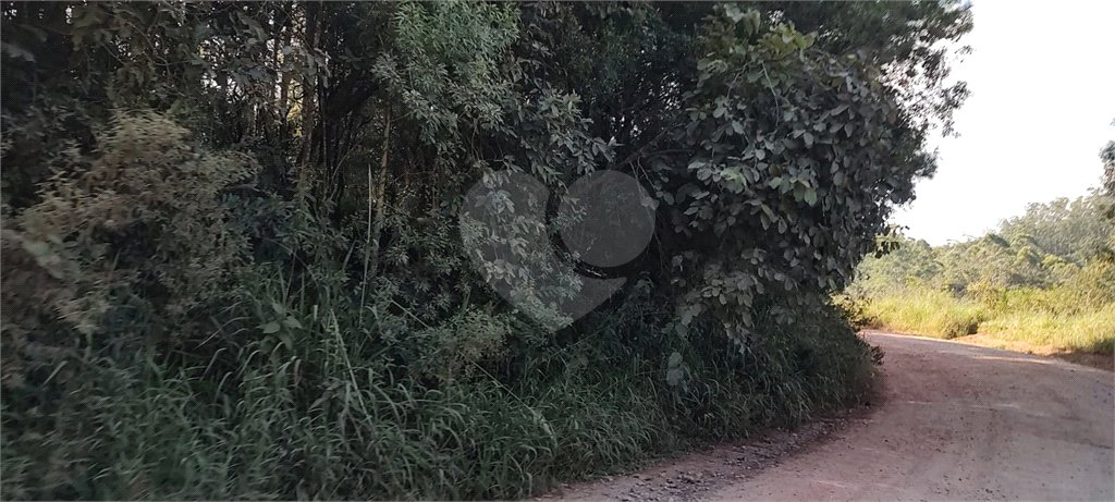 Terreno à venda em Luiz Fagundes, Mairiporã, SP