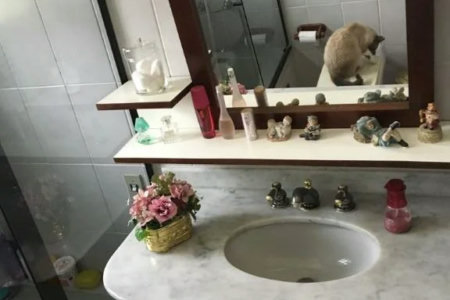 Sobrado à venda com 3 quartos, sendo 1 suíte, em Brooklin Paulista, São Paulo, SP