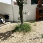 Sobrado à venda com 3 quartos em Santana, São Paulo, SP