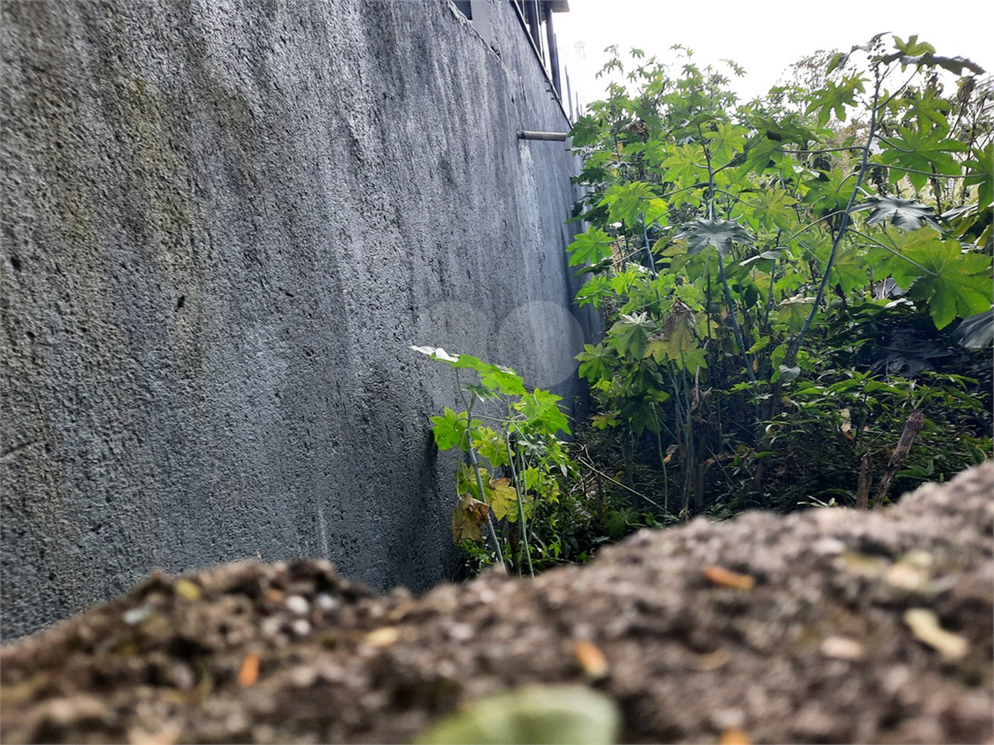 Terreno à venda em Chácara Monte Alegre, São Paulo, SP