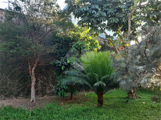 Casa Térrea à venda com 3 quartos em Horto Florestal, São Paulo, SP