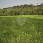 Área de Terra à venda em Porteira Preta, Mogi das Cruzes, SP