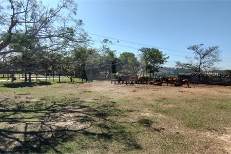 Sítio à venda com 2 suítes em Buru, Salto, SP