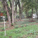 Terreno à venda em Serra da Cantareira, Mairiporã, SP