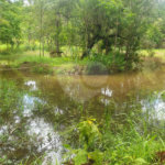 Terreno à venda em Vila Moraes, Mogi das Cruzes, SP