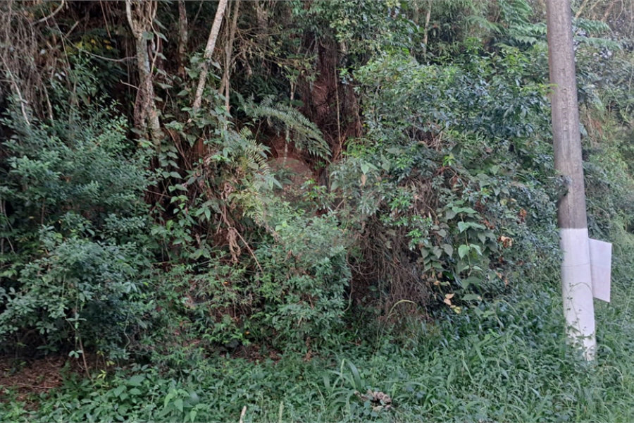 Terreno à venda no condomínio Associação Reserva das Hortênsias, Mairiporã - SP