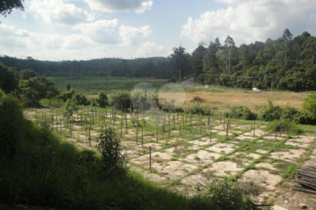 Terreno à venda em Portais (polvilho), Cajamar, SP