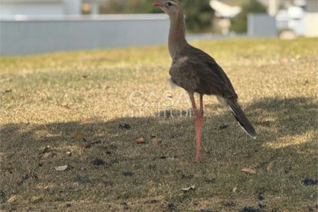 Terreno em condomínio à venda em Parque Ecoresidencial Fazenda Jequitibá, Sorocaba, SP