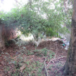 Terreno à venda em Vila Monte Belo, Itaquaquecetuba, SP