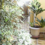 Sobrado à venda com 4 quartos, sendo 2 suítes, em Jardim Peri Peri, São Paulo, SP