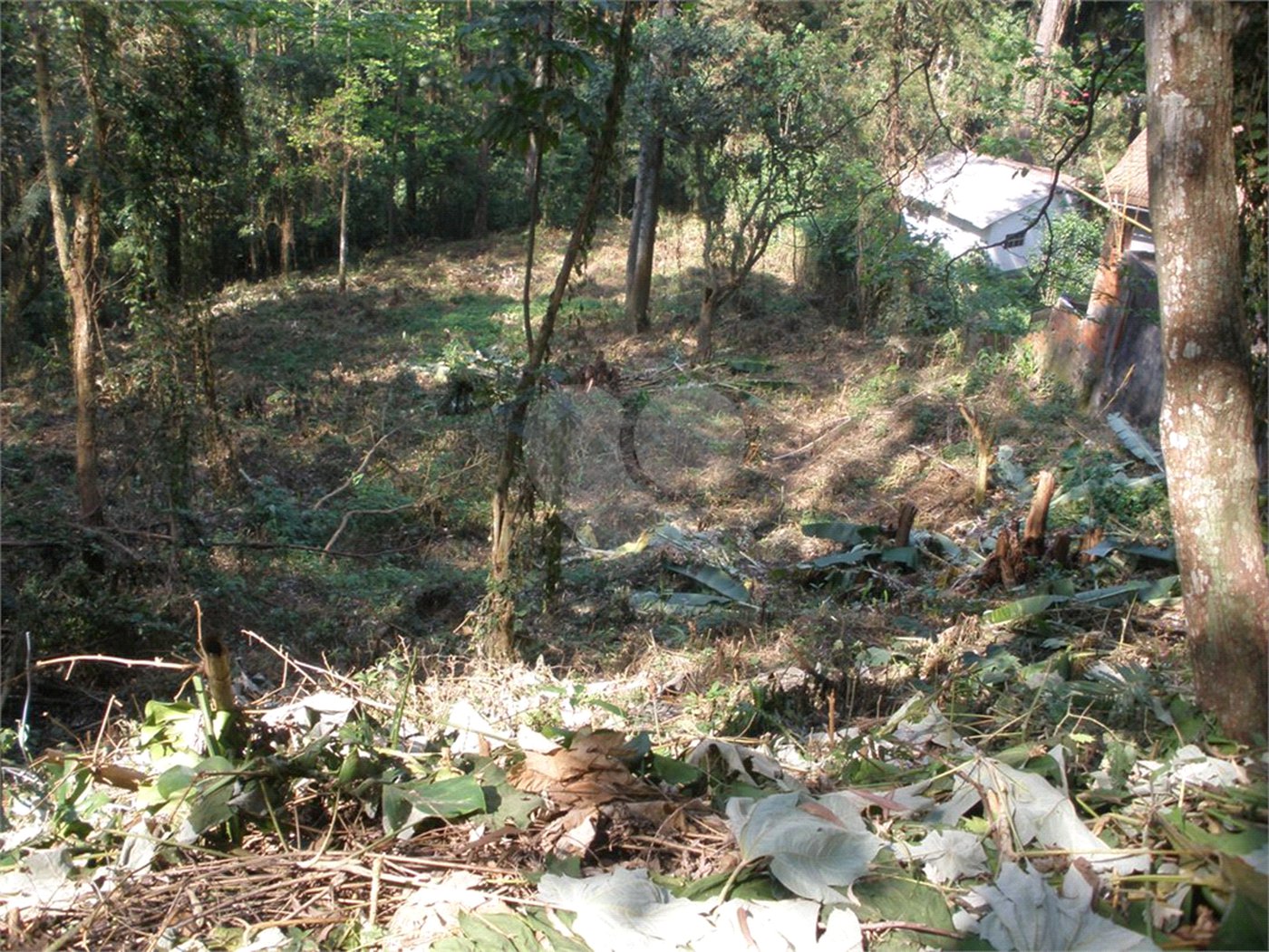 Terreno à venda em Vila Albertina, São Paulo, SP