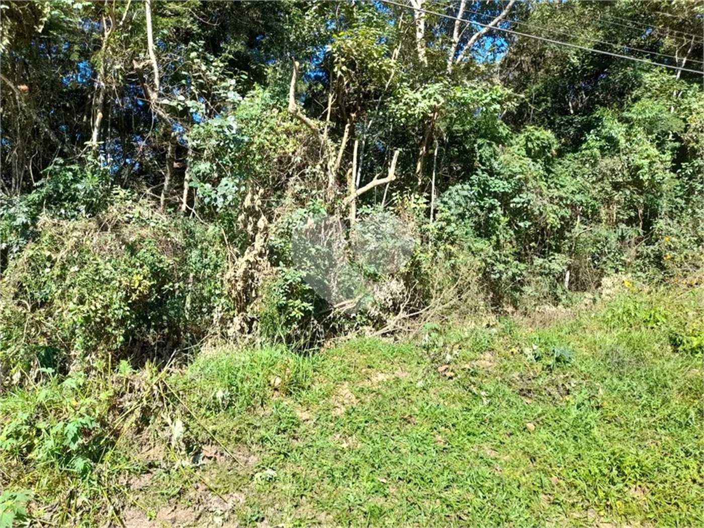Terreno à venda em Roseira, Mairiporã, SP