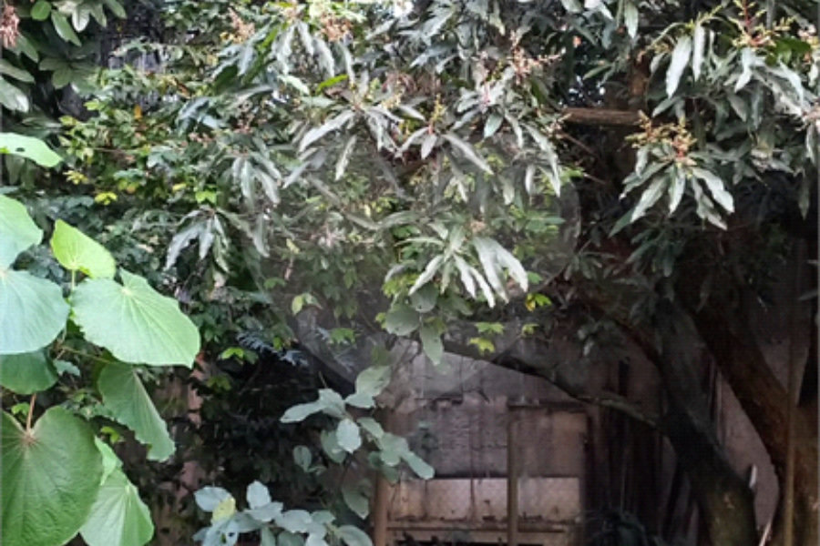 Casa à venda com 4 quartos, sendo 2 suítes, em Jardim São Bento, São Paulo, SP