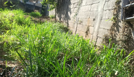 Terreno à venda em Vila Junqueira, Atibaia, SP