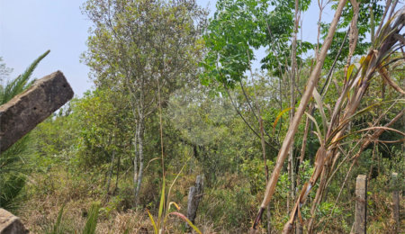 Terreno à venda em Curral, Ibiúna, SP