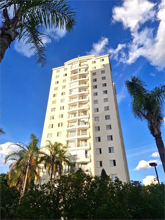 Apartamento à venda com 3 quartos, sendo 1 suíte, em Vila Cruzeiro, São Paulo, SP