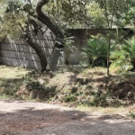 Terreno à venda em Serra da Cantareira, Mairiporã, SP