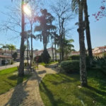 Casa à venda com 3 quartos, sendo 2 suítes, no condomínio Vila Borghese, São Paulo - SP