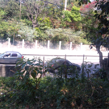 Terreno à venda em Vila Albertina, São Paulo, SP