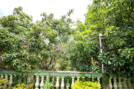 Casa à venda ou para alugar com 5 quartos, sendo 2 suítes, no condomínio Restinga Verde, São Roque - SP