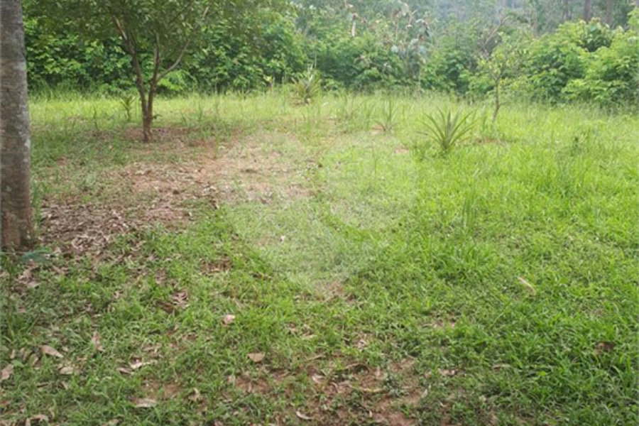 Chácara à venda com 4 quartos, sendo 2 suítes, em Serra da Cantareira, Mairiporã, SP