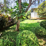 Casa Térrea à venda com 5 quartos em Jardim Petrópolis, São Paulo, SP