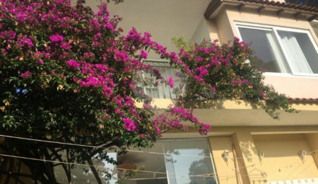 Casa à venda com 5 quartos, sendo 4 suítes, no condomínio Jardim Vitória Régia, São Paulo - SP