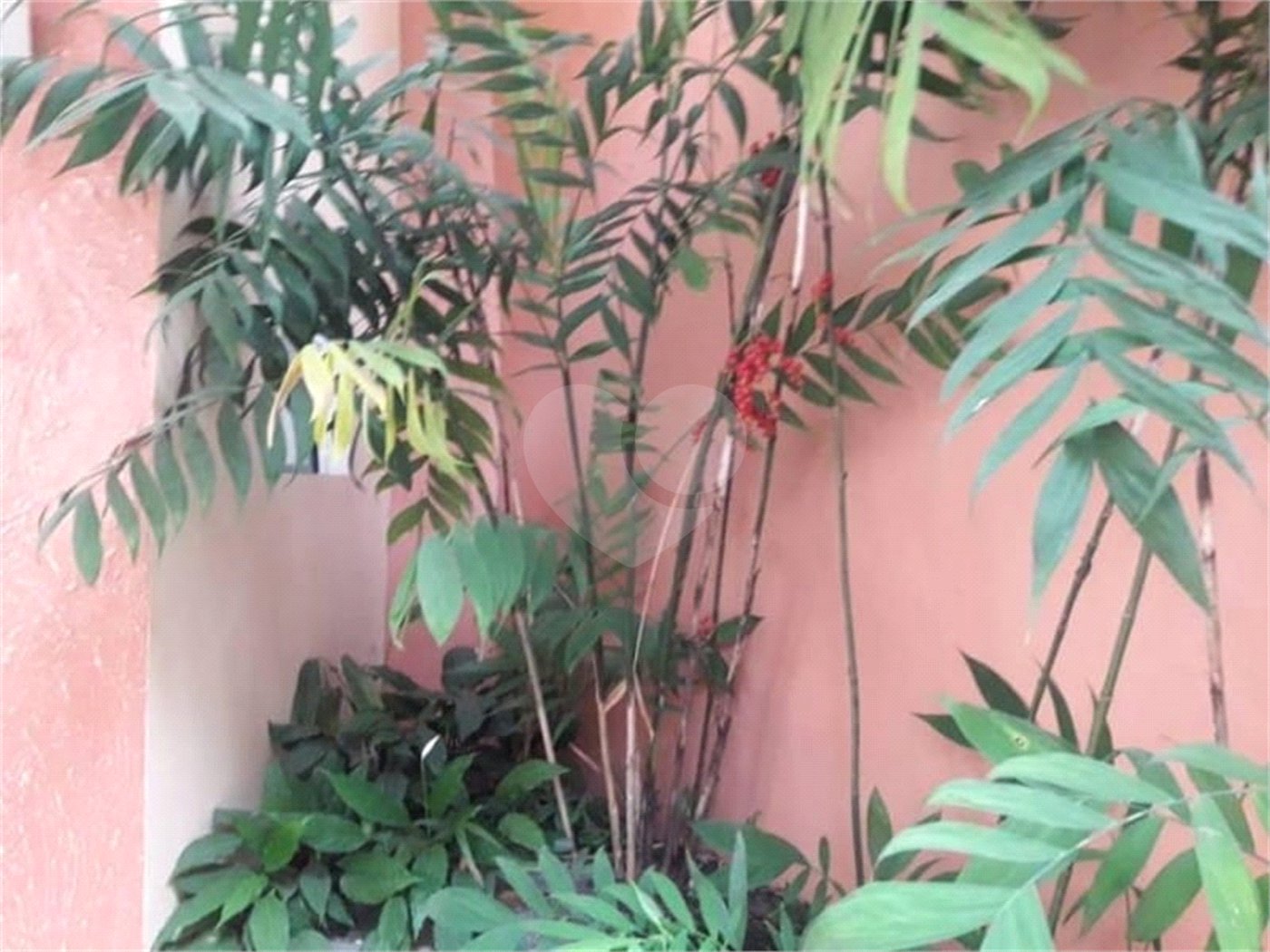 Sobrado à venda com 6 quartos, sendo 2 suítes, em Horto Florestal, São Paulo, SP