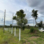 Terreno à venda em Nossa Senhora da Guia, Cuiabá, MT